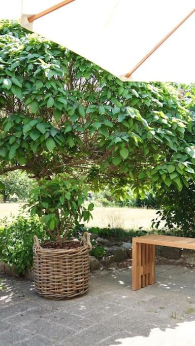 Lovely Villa At The Foot Of The Funen Alps Faaborg Ngoại thất bức ảnh